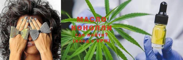 дживик Аркадак
