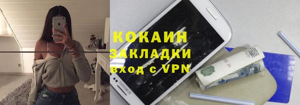 дживик Аркадак