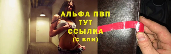 шишки Приозерск