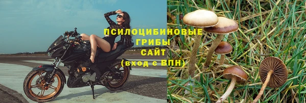 бутират Арсеньев