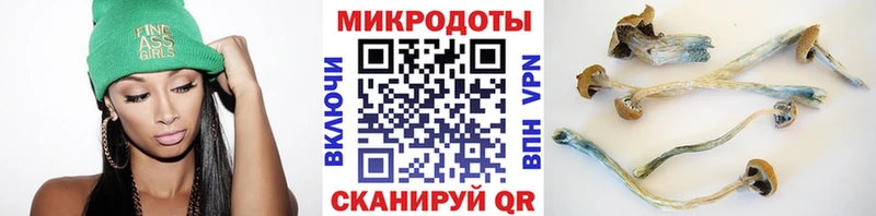 Псилоцибиновые грибы Magic Shrooms Мурино